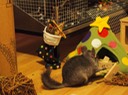20131224 0755