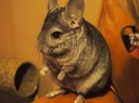 20131224 0771