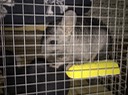 IMG 0137