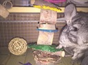 IMG 0541 2