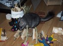 IMG 0592 2