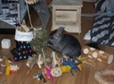 IMG 0597 2