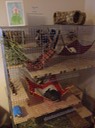 IMG 0953