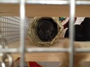 IMG 0984