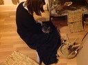 IMG 1001