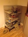 IMG 1017