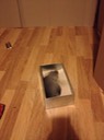 IMG 1127