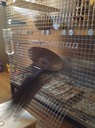 IMG 1206