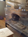 IMG 1208