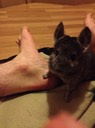 IMG 1234