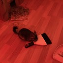 IMG 1355
