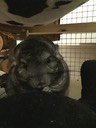 IMG 1414
