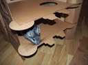 IMG 1424