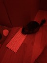 IMG 1541