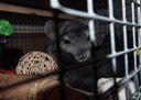 IMG_5503.jpg