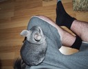 IMG_5697.jpg