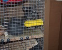 IMG_5751.jpg