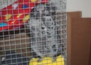 IMG_5752.jpg
