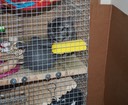 IMG_6124.jpg