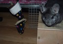 PC251140.jpg
