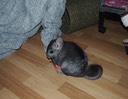 PC251146.jpg